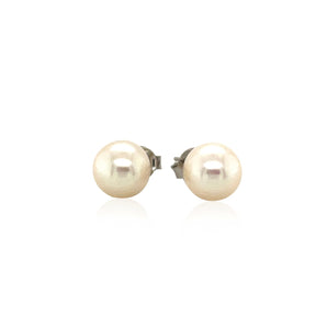 Freshwater Pearl Earrings in Sterling Silver