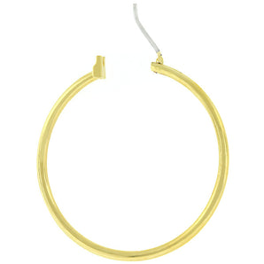 Basic Golden Hoop Earrings