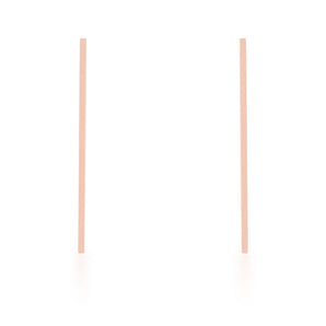 Carolee Rose Gold Stainless Steel Long Line Drop Earrings